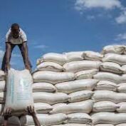 World Food Programme, Kenya Food Crisis